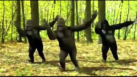 gorilla running and farting|farting dancing gorillas animated.